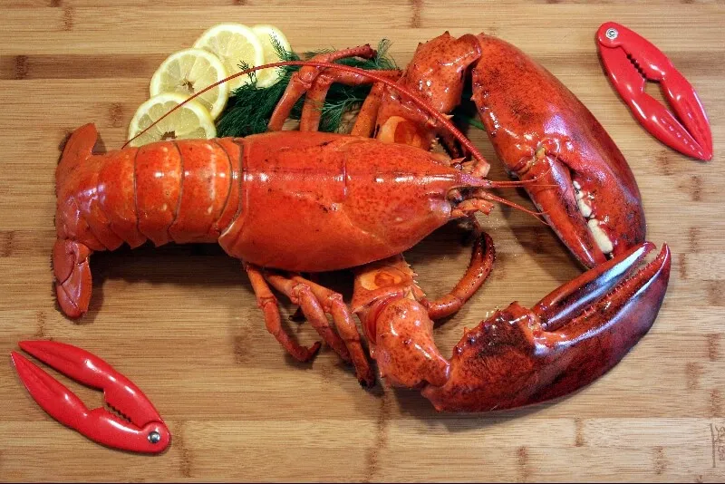 Homard bouilli