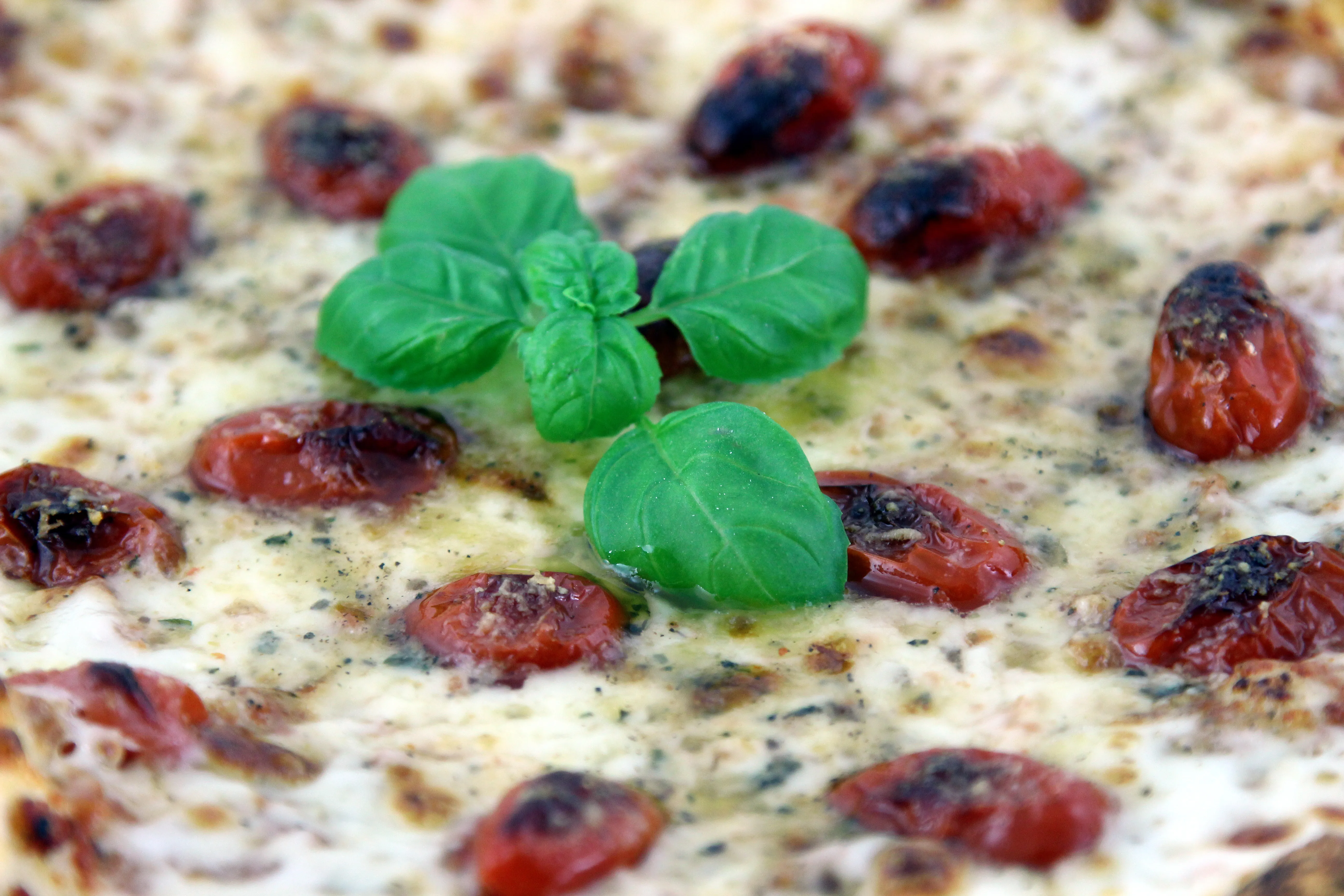 Pizza Tomates et Basilic